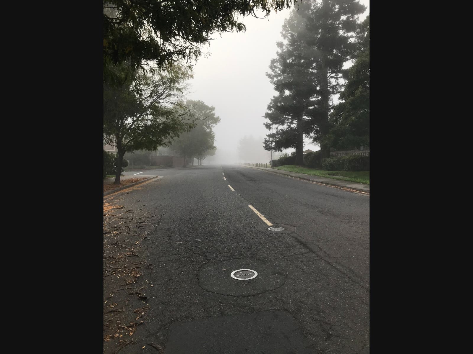 Fog rolls in Oct. 5, on Garfield Street in Petaluma.