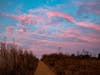 Saturday's sunrise looking east from Vallejo, California.