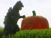 It is Godzilla versus The Great Pumpkin at Bobby Dazzler's Pumpkin Patch and Milo Maze in Woodland, California.