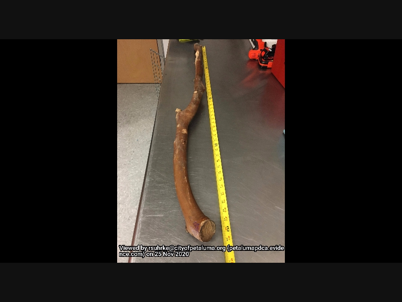 Petaluma police allege this stick was used in a suspected hate crime Tuesday night against a 70-year-old Hispanic man.