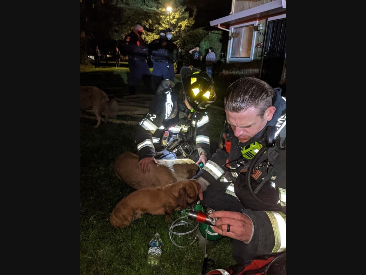 Santa Rosa firefighters rescue four dogs Wednesday from an apartment fire on Plata Court, near Guerneville Road and Coffey Lane.
