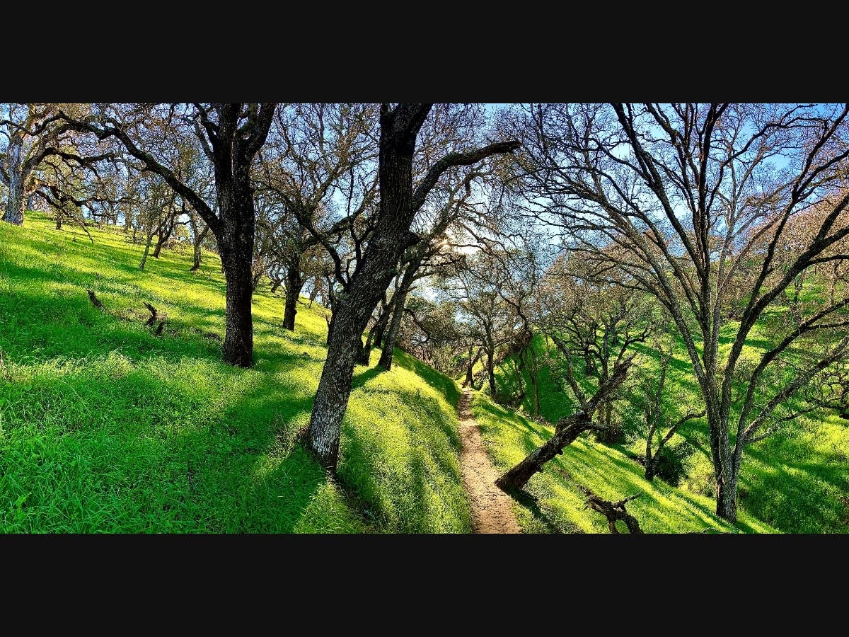 Scenic and shady, the Mt. Wanda trail is across state Highway 4 from John Muir's home in Martinez.