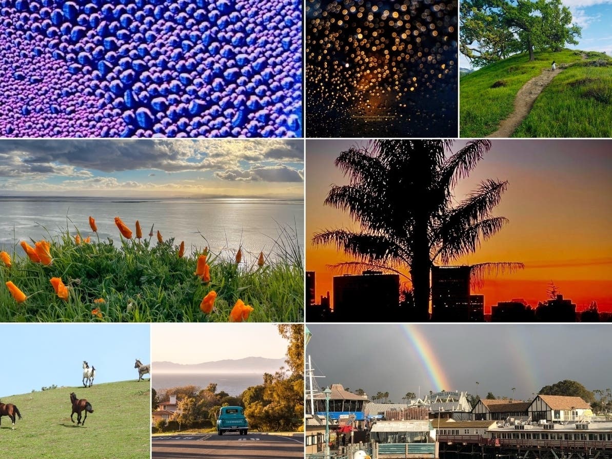Clockwise from top left: Rainy Day In Oceanside; Singing Into The Unknown; Oakland Skyline Sunset; Stunning Double Rainbow; Classic Cruising In South Bay; Mission Hills; Spring Wildflowers