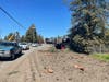 A big rig overturned and hit a tree Friday on southbound U.S. Highway 101 near the Todd Road offramp in Santa Rosa. CHP said the truck driver was OK.