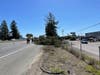 A big rig overturned and hit a tree Friday on southbound U.S. Highway 101 near the Todd Road offramp in Santa Rosa. CHP said the truck driver was OK.