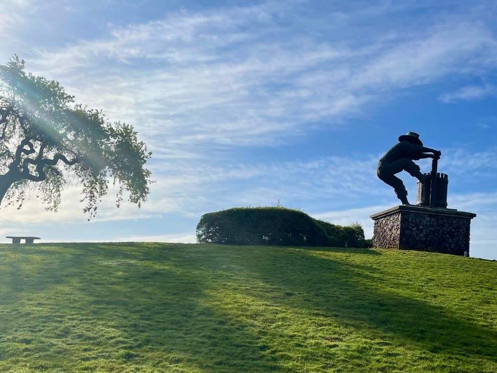 Tree pollen is currently the top allergen in the Napa Valley.