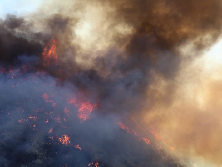 Vegetation fires broke out Wednesday afternoon on Mark West Springs Road, on state Highway 12 and in El Verano. 