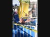 The Deputy Dunk Tank was a crowd favorite Tuesday at National Night Out in Napa.