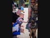 A child pets a sheriff's K-9 on Tuesday at Napa's National Night Out 2021.