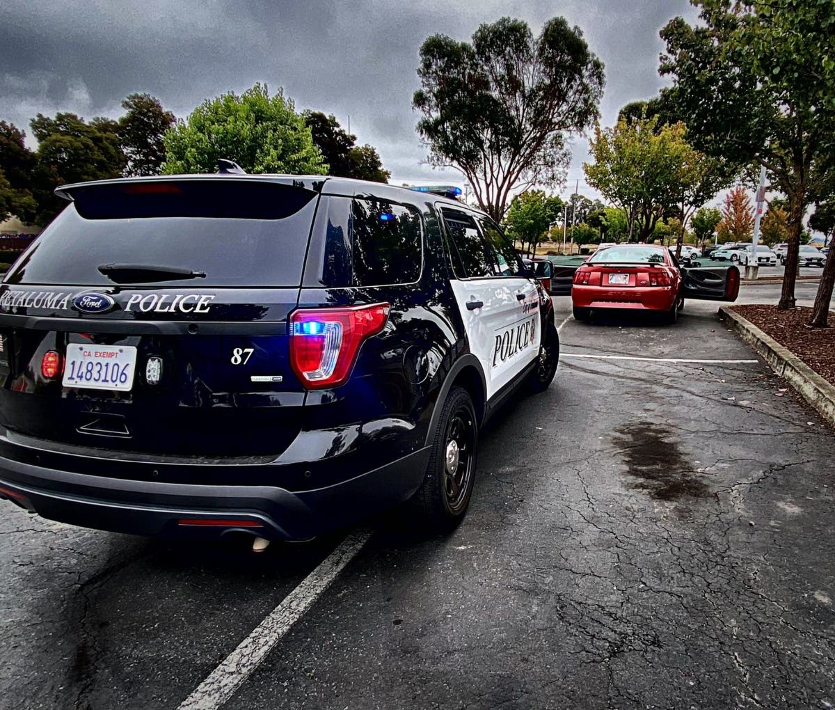 Petaluma police recover a stolen car Sunday.