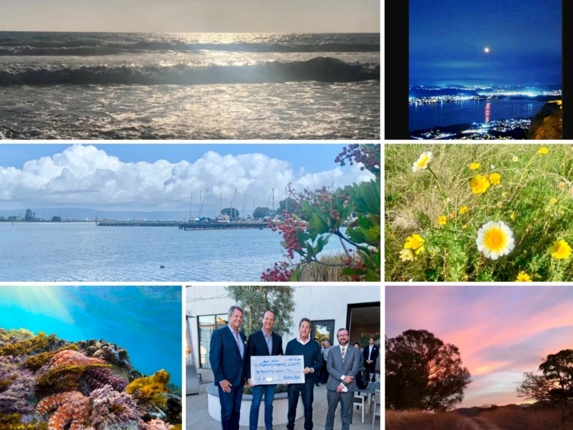 Clockwise from top left: Sparkling Waves & A Place To Meditate; Harvest Moon Over Lake Elsinore; Oyster Point Beauty; Lime Ridge Sunset; Hotel Grand Opening; Pretty Starfish; Oyster Point Beauty