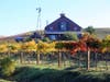 Fall in Napa Valley wine country