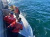 A U.S. Coast Guard crew from Station Bodega Bay rescues three from a capsized boat Monday morning near Tomales Bay.