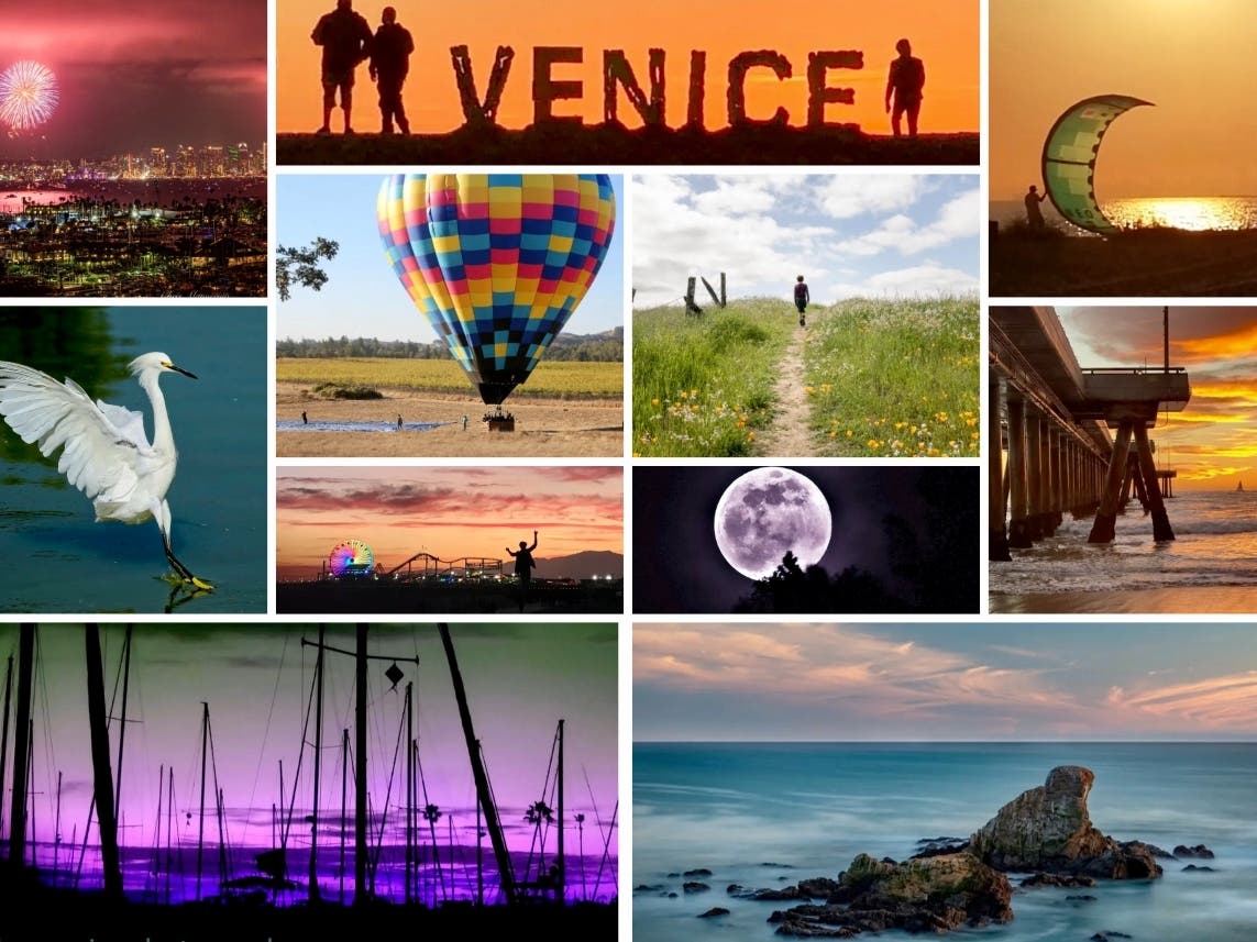 Chris Mannerino; Leo Flores; Julie Castillo; Gina Sommo; Beth Curasi; Ruben Araiza; Dave Kornreich; Dione Tamura; Al Francis; Jill Woo; Gary Schwartzwald 