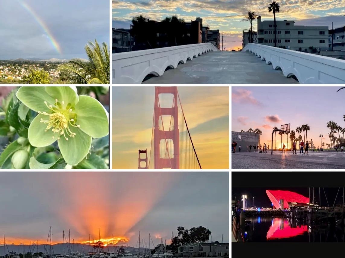 Clockwise from top left: Rainbow Glow In Murrieta; Lighthouse Bridge Sunset View In Marina Del Rey; Shooting Hoops In Venice; Holidays At The Rady Shell; Spotlight Sunset Over Ballena Bay; San Francisco Sunset; Christmas Rose In Bloom