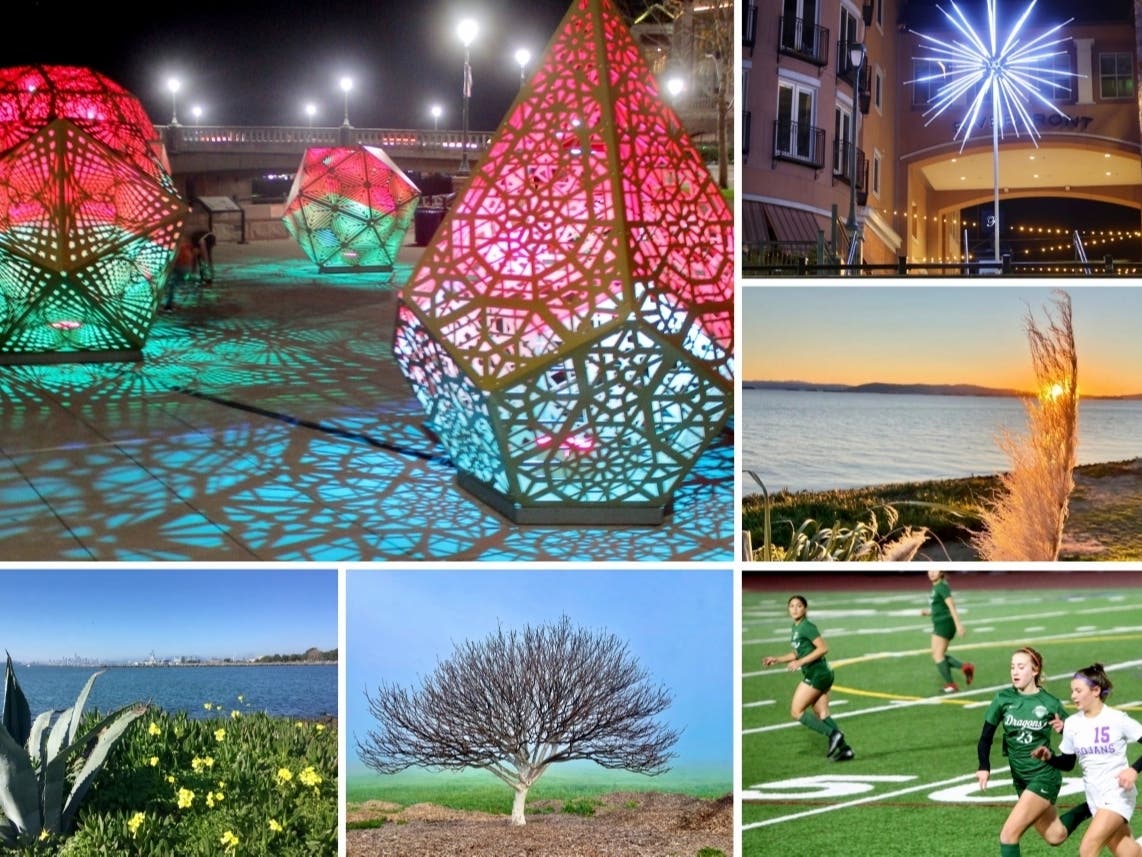 Clockwise from top left: Napa Lighted Art Festival; Ballena Point Beauty; Petaluma Slays Dragons; Foggy Morning At Lake Elizabeth; A Distant City