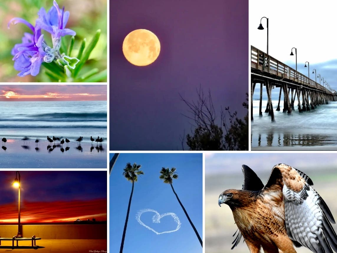 Clockwise from top left: Patio Blooms; Full Moon Sets At Holdener Park; Imperial Beach Pier; Hawk Watch In Ramona; A Valentine In The Sky; Colorful Skies Over Imperial Beach; Enjoying Imperial Beach
