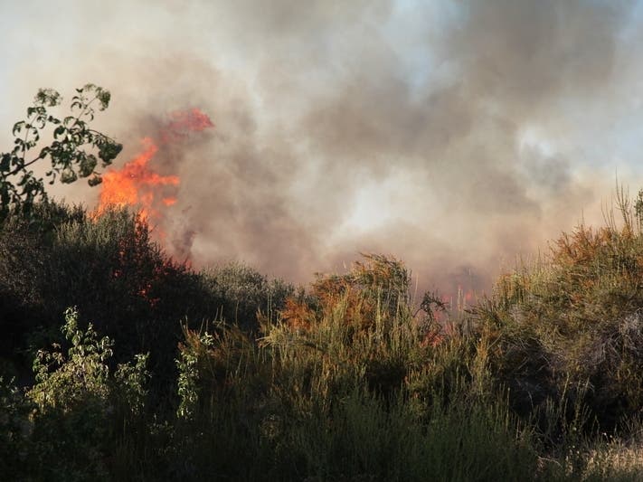 Multiple fires broke out around 2:30 p.m. Tuesday near westbound state Highway 4 and Willow Pass Road in Bay Point, Con Fire said.