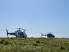 CHP's H-30 and Sonoma County Sheriff's Henry-1 helicopter crews respond to a motorcycle crash Sunday near the Point Reyes Lighthouse in Sonoma County.