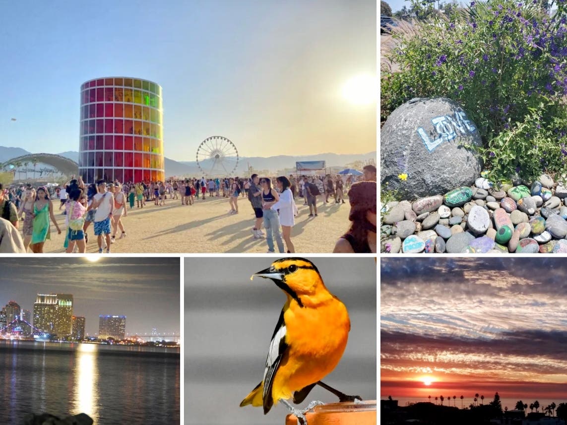 Clockwise from top left: Coachella Weekend 2; Exploring Beautiful Cardiff; 'Moonlight Sonata'; Bullock's Oriole In Ramona; View From Harbor Island