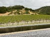 Hail falls Tuesday on a Napa Valley vineyard.