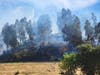Investigators determined the Pacheco Fire broke out Thursday in or near a homeless encampment, Con Fire said.