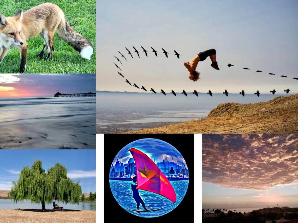 Clockwise from top left: Friendly Foxes; Fremont Man Travels The World, Captures Stunning Local Images (second and fourth image); 'Special Effect' Sunset; Artistic Alameda; Stunning Imperial Beach Sunset