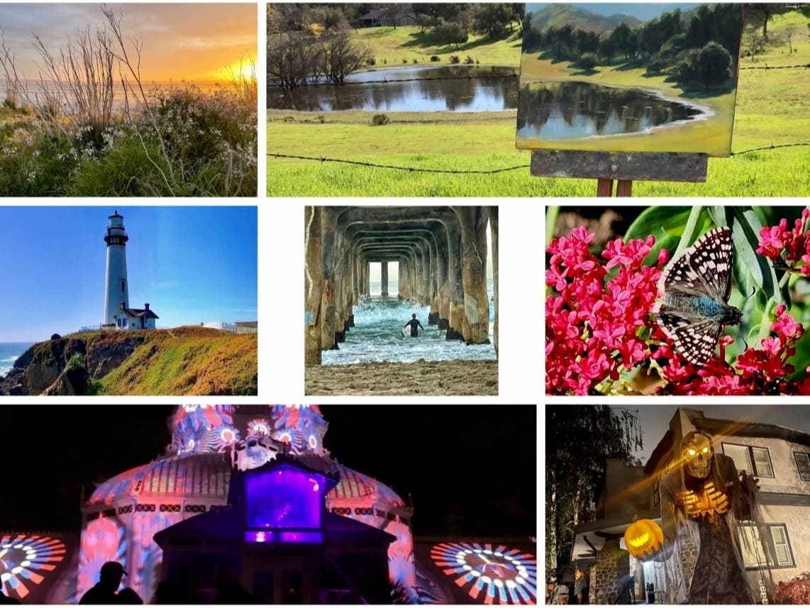 Clockwise from top left: Sunset At San Lorenzo Trail; Artist At Work; Checkered Moth; Spooky Skeleton Decoration; Hiding In Plain Sight; Rise And Surf, Manhattan Beach; Lighthouse Guards Peninsula Coastline