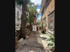 New spider lift in action with Dorshak Tree Specialists