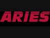 Aries Industries, "Raising the Bar Underground" for more than 40 years