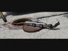 The LETS Sidewinder Lateral Inspection System from Aries Industries