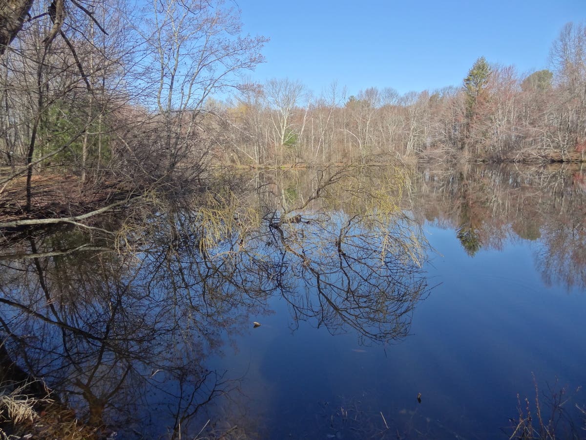 Westborough's Gilmore Pond in Springtime