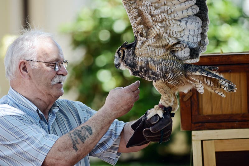 Free Live Bird Show: Raptors All Around Us