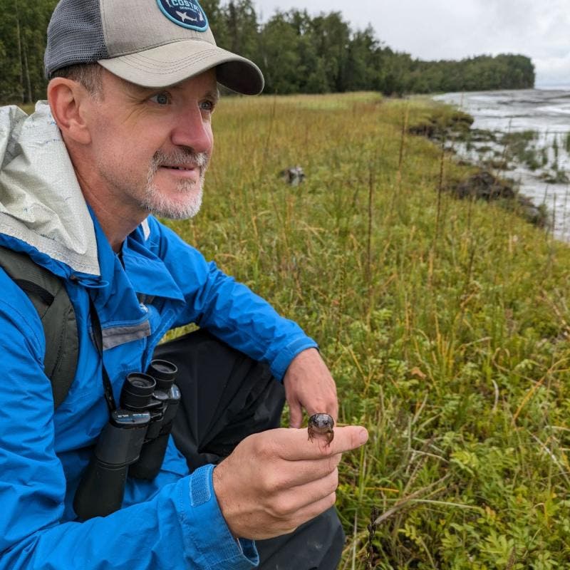 Author Talk: “Wildlife Out Your Window” And Westborough Community Land Trust Annual Meeting