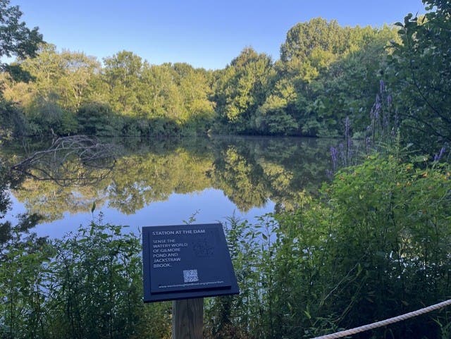 Free Event: Gilmore Pond Sensory Trail Grand Opening