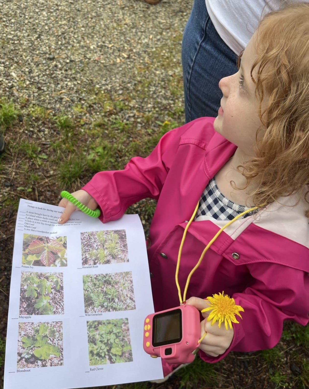 Free Family Nature Hike and Scavenger Hunt
