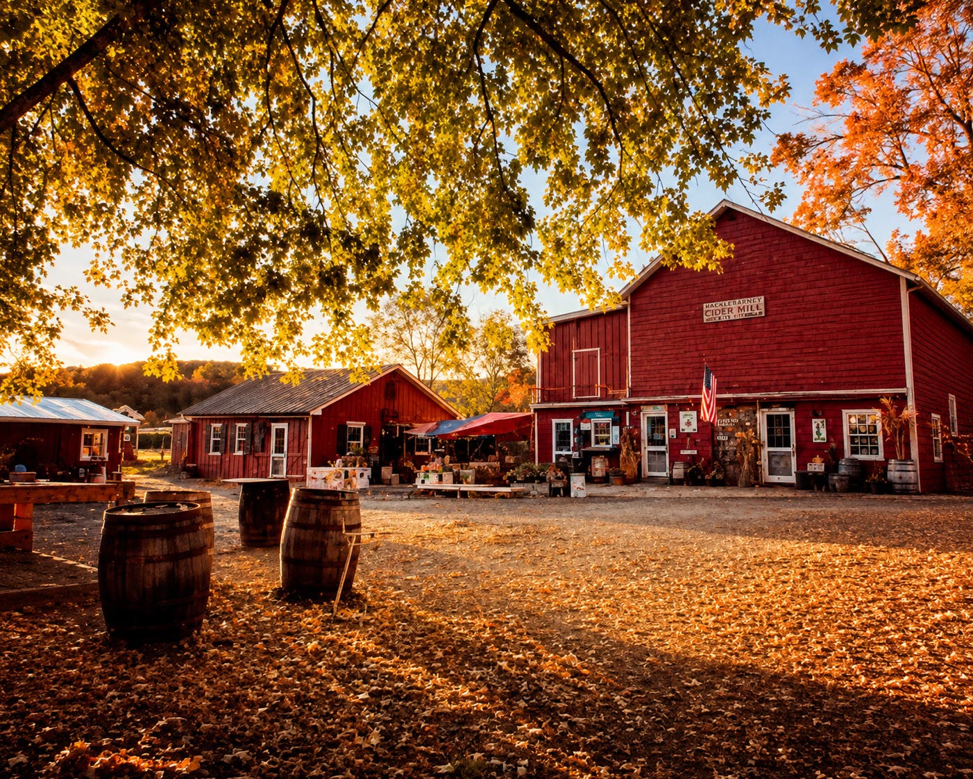8th Annual Farm to Table Benefit Dinner