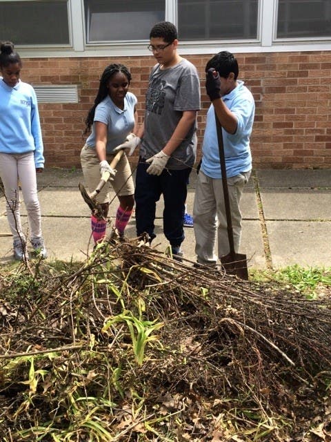 News small post card thumbnail