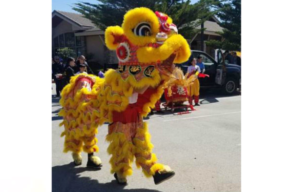 Hundreds of visitors participated in the festive, two-day celebration featuring lion dance performances.