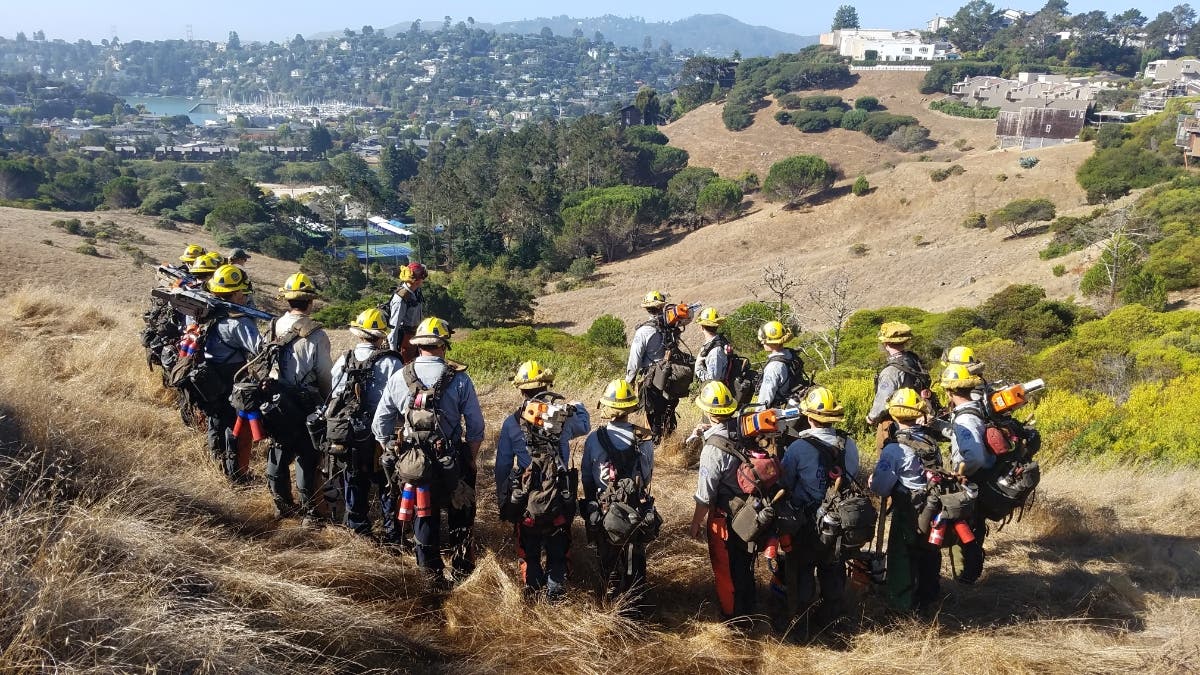 Firefighters overlook a Marin hillside prior to conducting reducing fire hazards in the area.