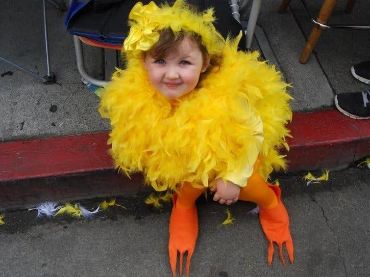 Celebrate the 2019 Butter & Egg Days Parade & Fest on Saturday, April 27 in Petaluma, CA.