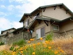 Affected landlords with three or more rentals need to register the properties with the county by June 1.