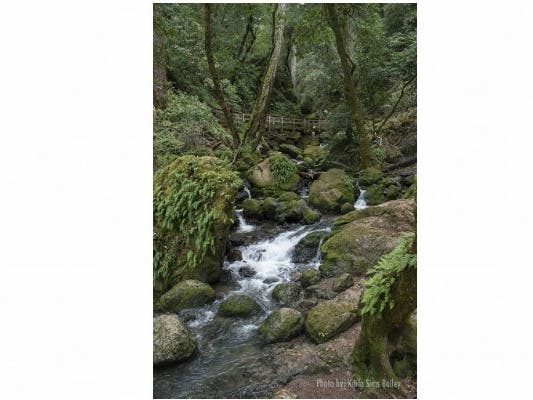 Cataract Falls, Marin County