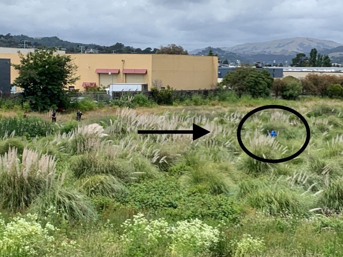 Three shoplifting suspects were arrested over the weekend after Home Depot incident in San Rafael, CA.