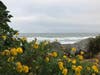 Sharp Park Beach, Pacifica, CA.