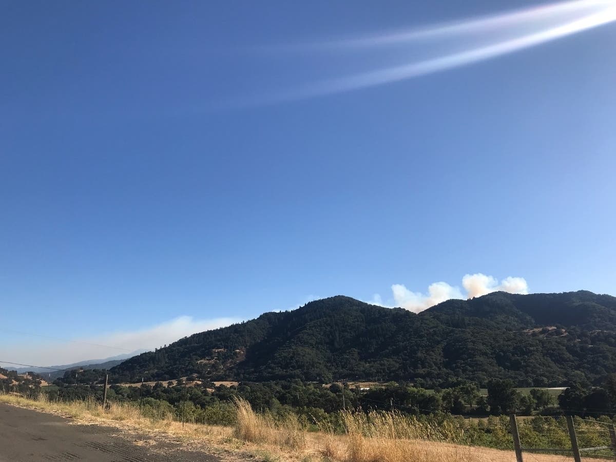 Scene from Moose Fire burning in Mendocino County, CA.