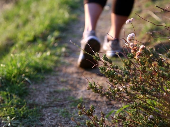 The Living Desert offers three, nature-preserve trails.