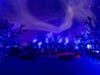 A New Día presented by Estrella Jalisco, an immersive art installation at Wisdome LA.