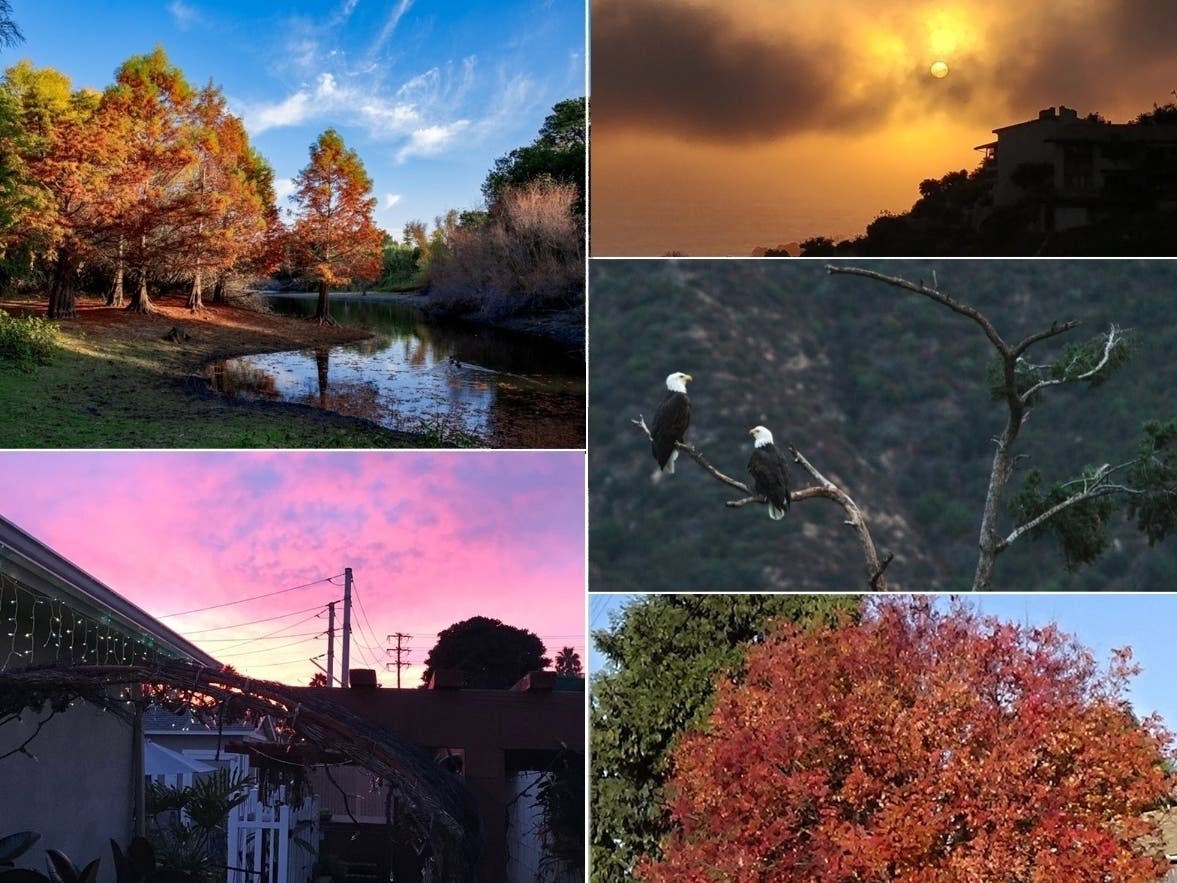 Patch loves photos! Share your photos with Patch, and your work could be featured.