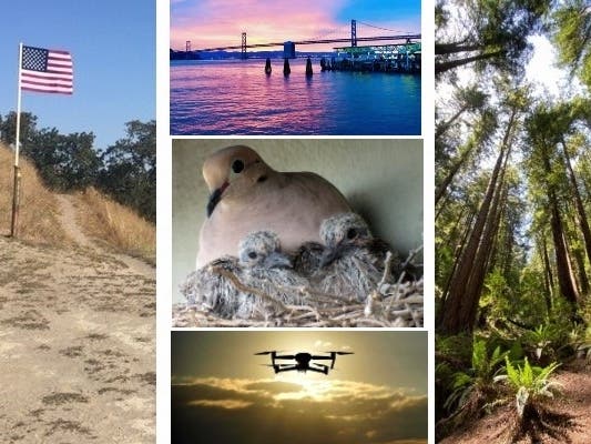 Stunner shots from Patch readers throughout California.